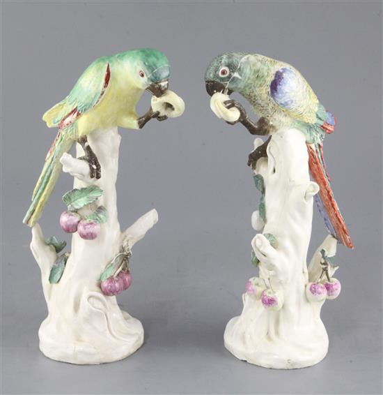 A rare pair of Naples Real Fabbrica porcelain figures of parrots on fruiting branches, early 19th century, height 26.5cm and 27cm, exte